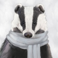 Аватара пользователя