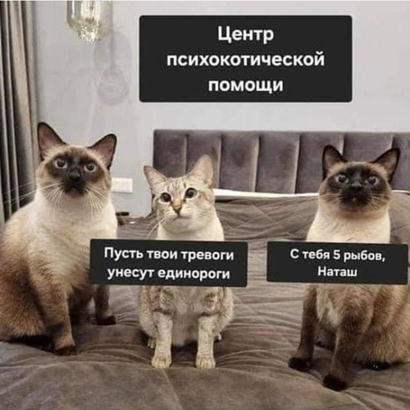 Снимок экрана 2024-03-01 201418.png
