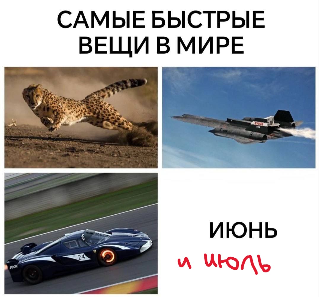448364870_7679266078815785_692205706553184354_n.jpg