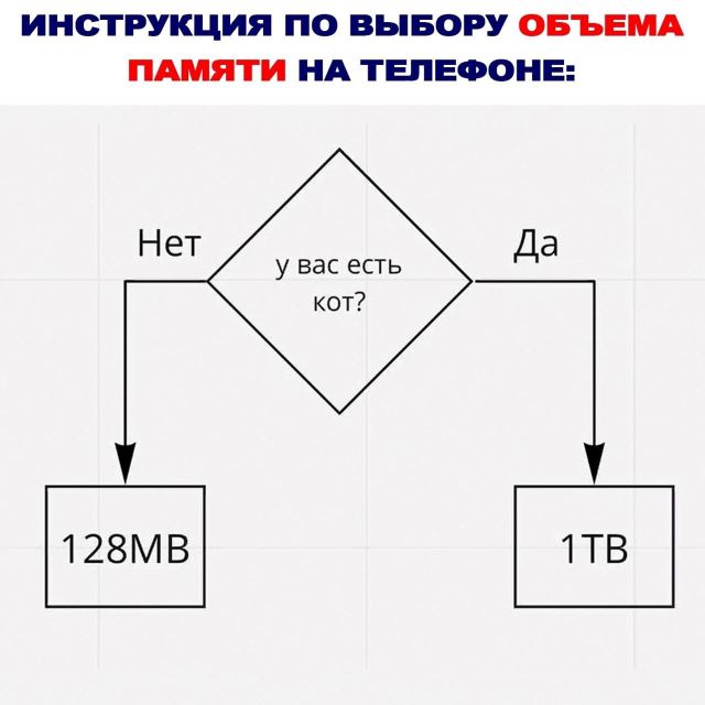 464930227_1312731876378653_6780268954074487632_n.jpg