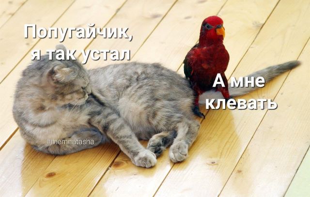 466020812_972516674911374_3384517953471538301_n.jpg