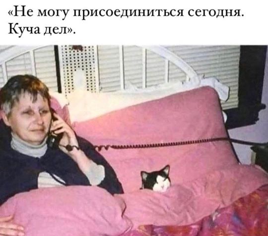469905494_994833456013029_5221782239784416759_n.jpg