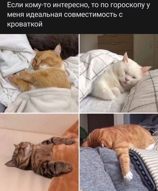 473620500_1020640273432347_2993520190770111213_n.jpg