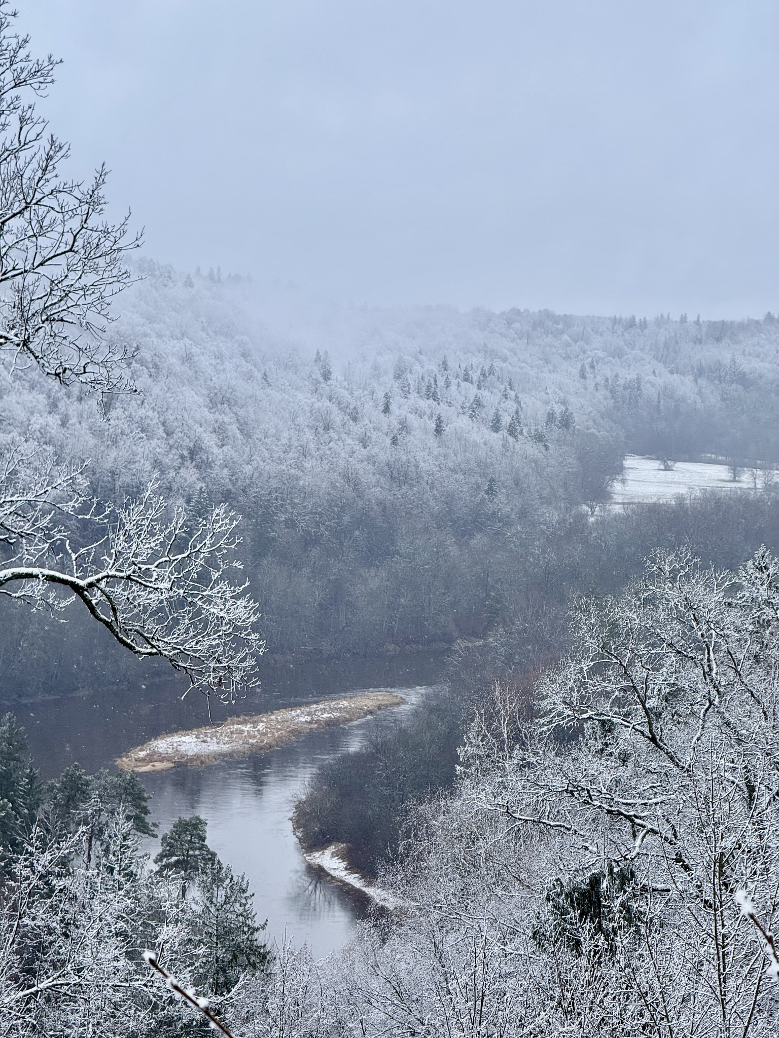 475559234_9318644081531003_6612181399758465498_n.jpg