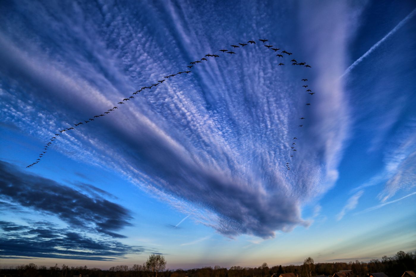 483369778_9297130570370730_4984955320810439814_n.jpg