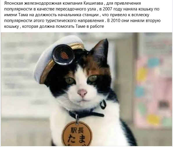 221721.png
