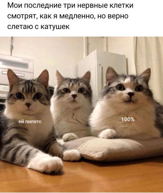 488272072_1087193530110354_3083615881713076613_n.jpg