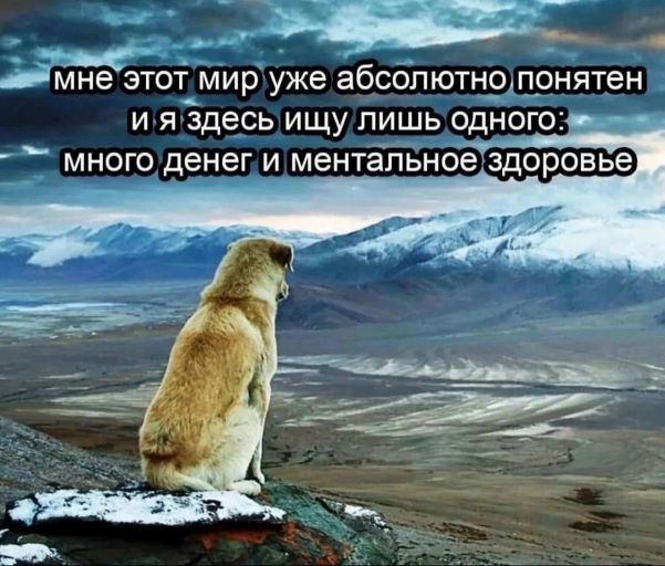 493323184_122219362118079695_2132481642809838106_n.jpg