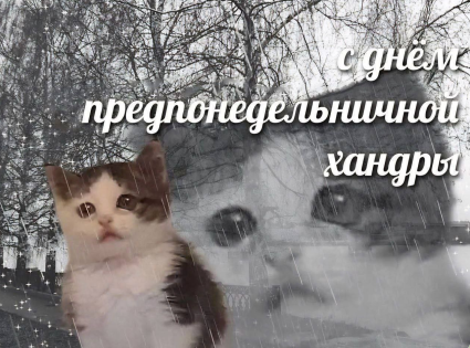 Снимок экрана 2025-05-04 180526.png
