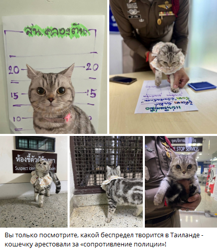 Снимок экрана 2025-05-24 125506.png