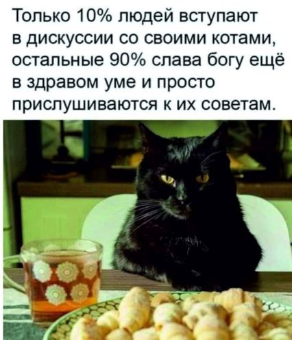слушай кота.jpg