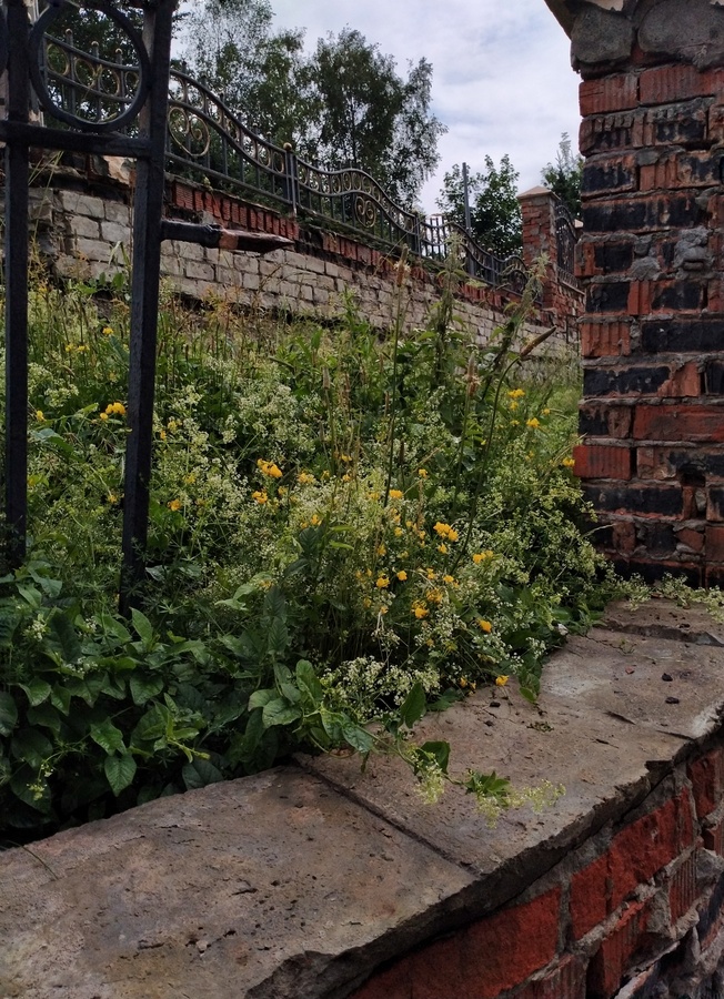 OpenCam_20250614_.jpg