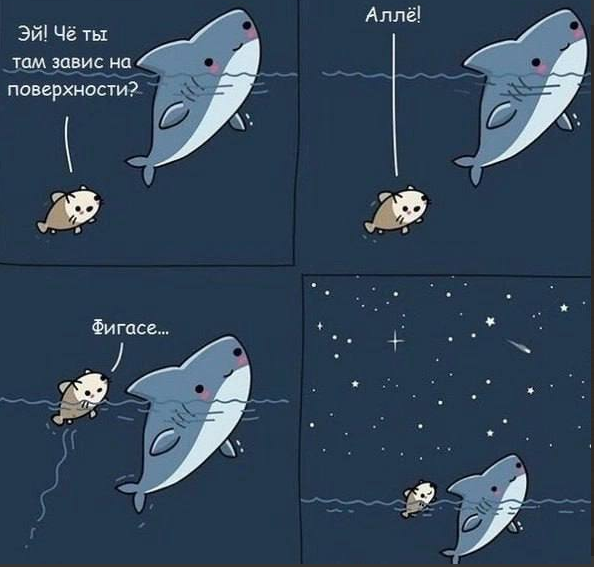 Снимок экрана 2025-06-11 203834.png