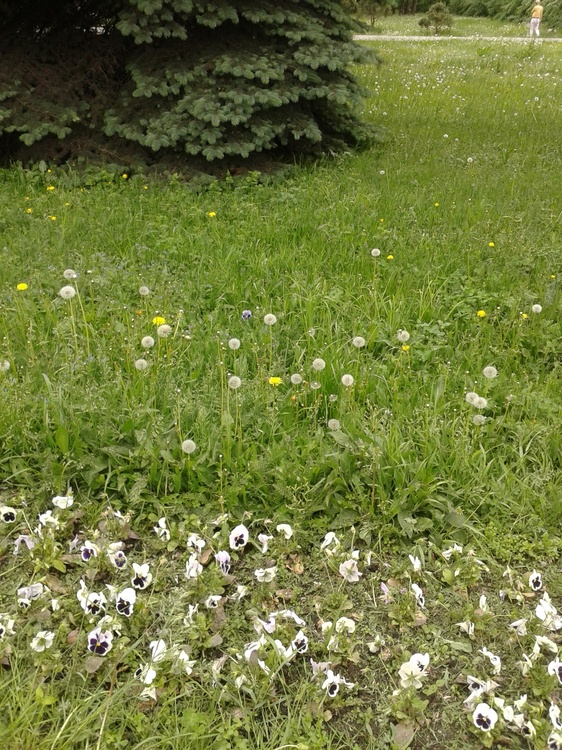 2014_7.jpg