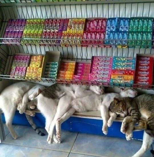 утро субботы.jpg