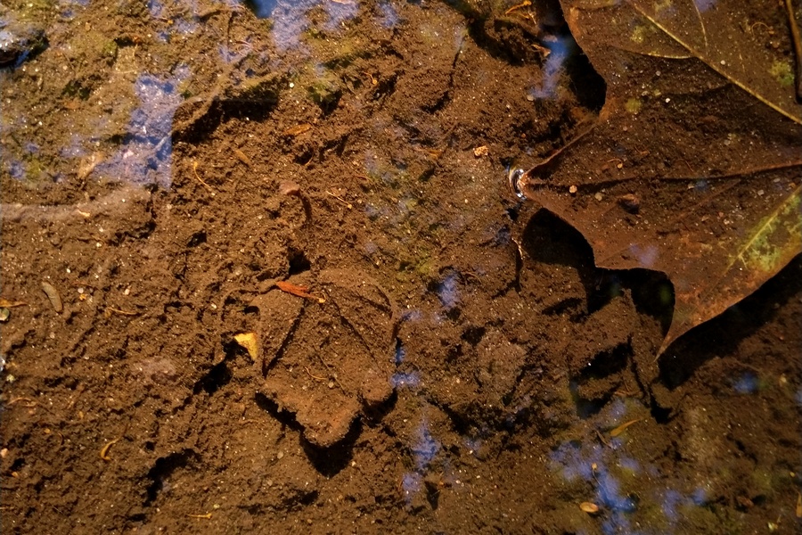 OpenCam_202507_900_.jpg