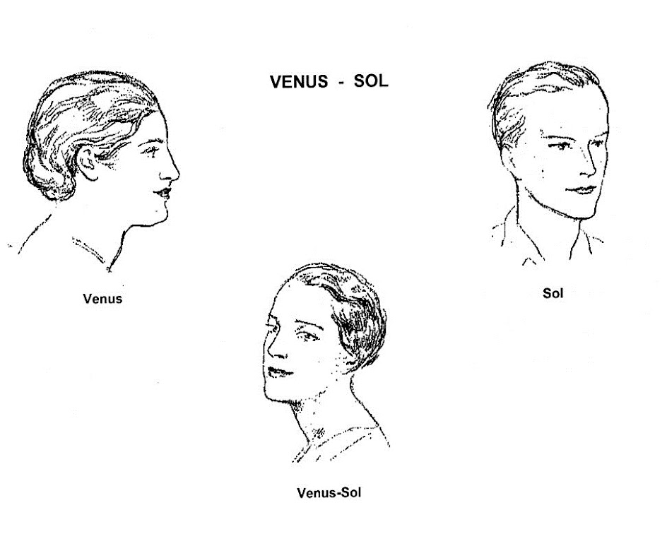 VENUS SOL MOISES ACEDO CODINA MORFOPSICOLOGIA MORPHOPSYCHOLOGIE MORPHOPSYCHOLOGY FISIOGNOMIA PHYSIONOMIE PHYSIOGNOMY.jpg