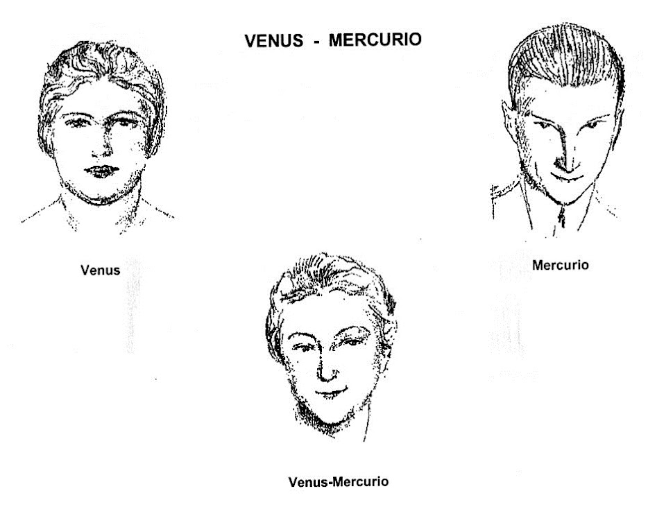 VENUS MERCURIO MOISES ACEDO CODINA MORFOPSICOLOGIA MORPHOPSYCHOLOGIE MORPHOPSYCHOLOGY FISIOGNOMIA PHYSIONOMIE PHYSIOGNOMY.jpg