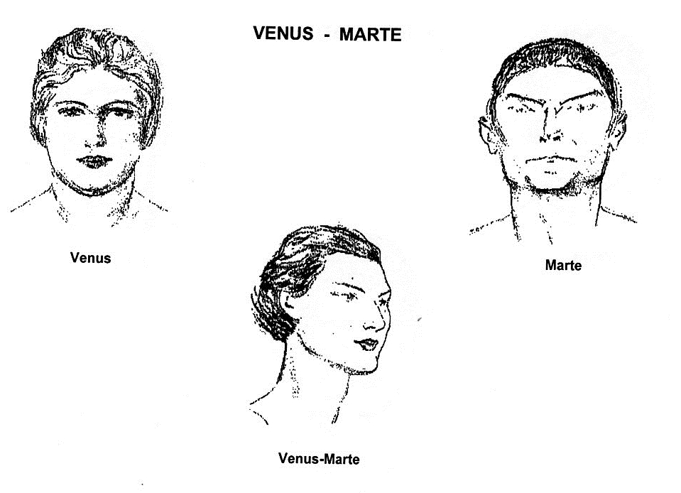 VENUS MARTE MOISES ACEDO CODINA MORFOPSICOLOGIA MORPHOPSYCHOLOGIE MORPHOPSYCHOLOGY FISIOGNOMIA PHYSIONOMIE PHYSIOGNOMY.jpg