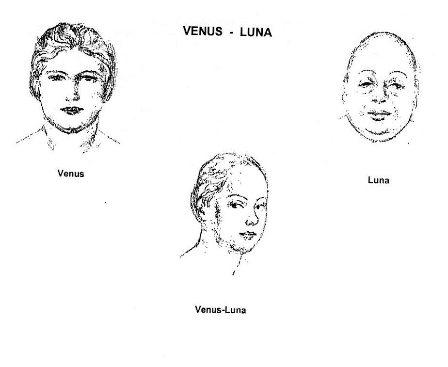 VENUS LUNA MOISES ACEDO CODINA MORFOPSICOLOGIA MORPHOPSYCHOLOGIE MORPHOPSYCHOLOGY FISIOGNOMIA PHYSIONOMIE PHYSIOGNOMY.jpg