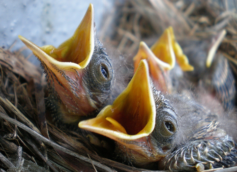 Снимок экрана 2025-12-13 221815.png