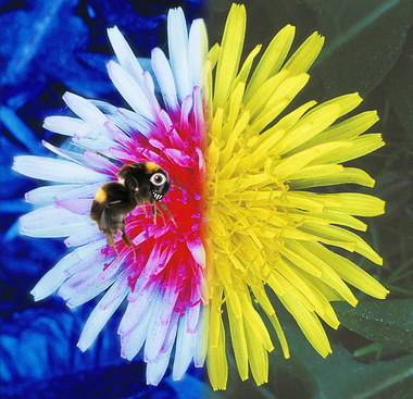 Снимок экрана 2025-12-14 121049.png