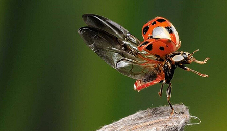 Снимок экрана 2025-12-16 195938.png