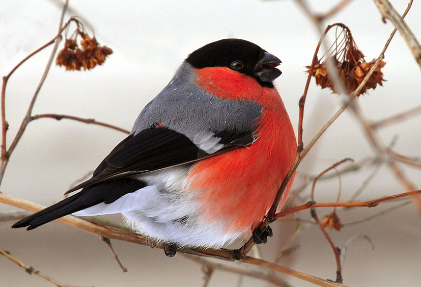 Снимок экрана 2025-12-16 200145.png