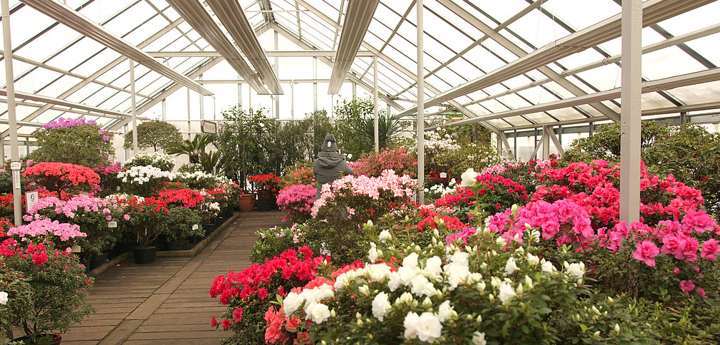 Снимок экрана 2026-02-02 080401.png