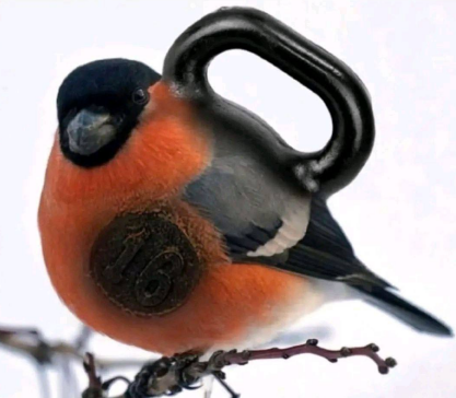 Снимок экрана 2026-02-02 175729.png