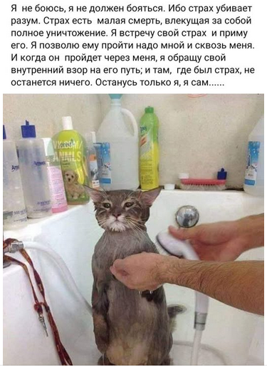 Снимок экрана 2026-01-25 102033.png