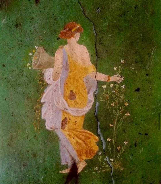 Флора 1 век нашей эры.jpg