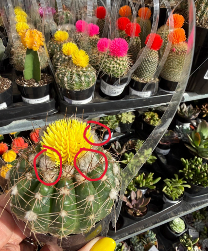 Снимок экрана 2026-04-01 092804.png