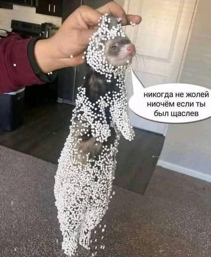 Снимок экрана 2026-04-03 222859.png