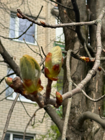 Снимок экрана 2026-04-18 211420.png