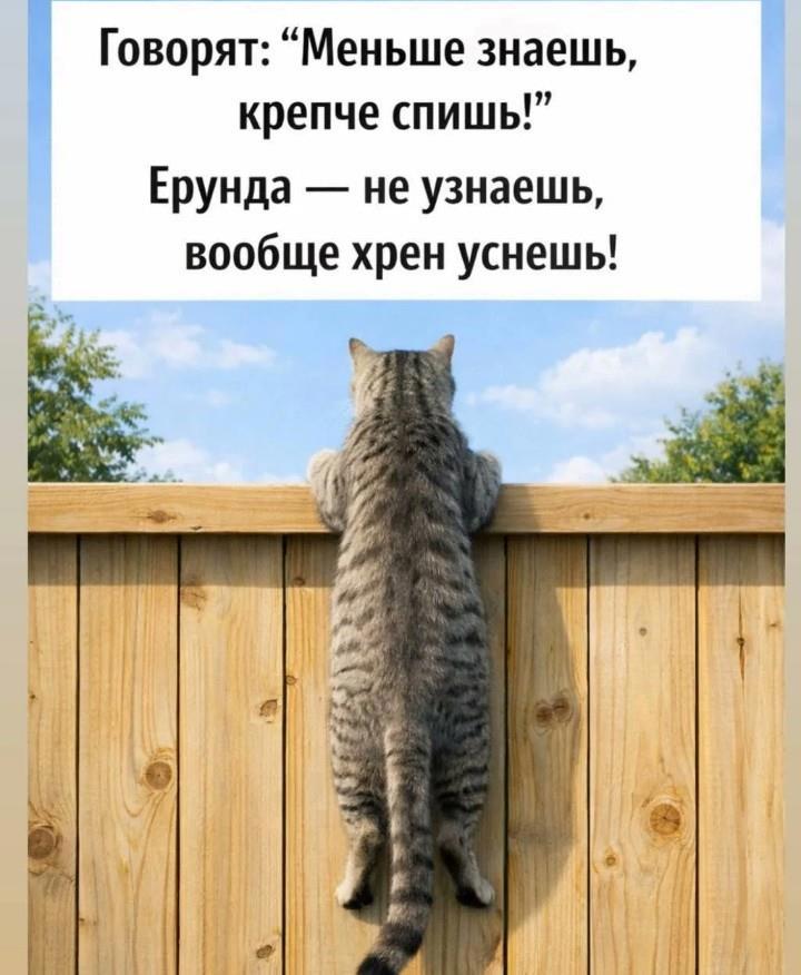 d31699900685449d8716e3fc53fcd0a6.jpg