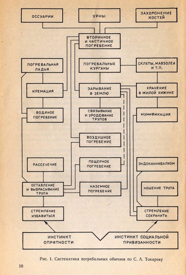 Систематика погребальных обычаев по С. А. Токареву (1985).jpg