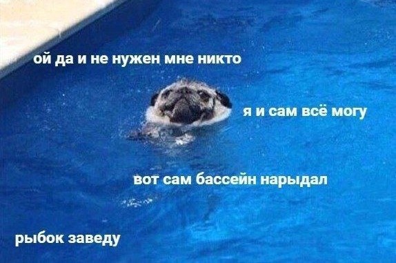 photo.jpg