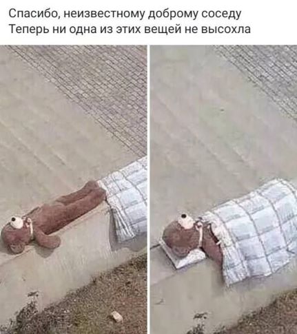 тык 1.jpg
