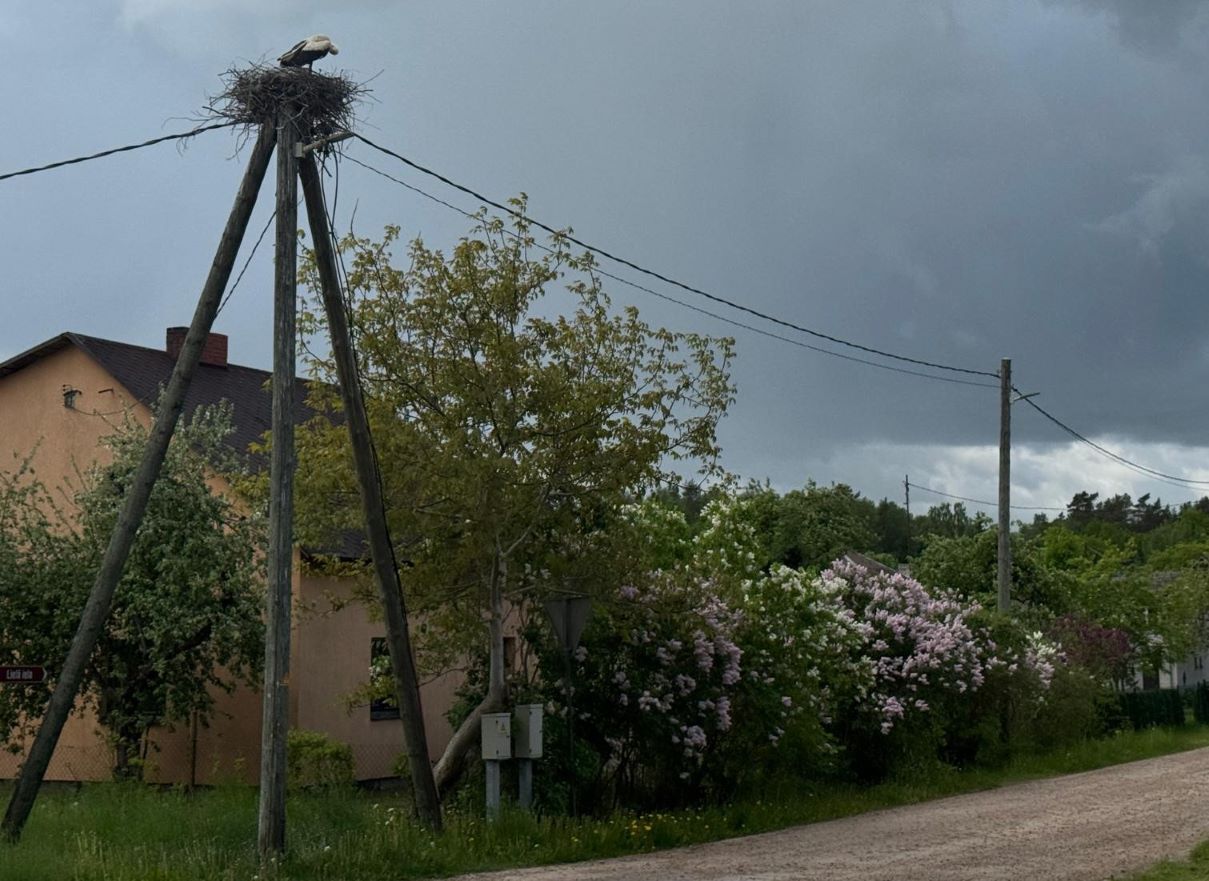 сегодня.jpg