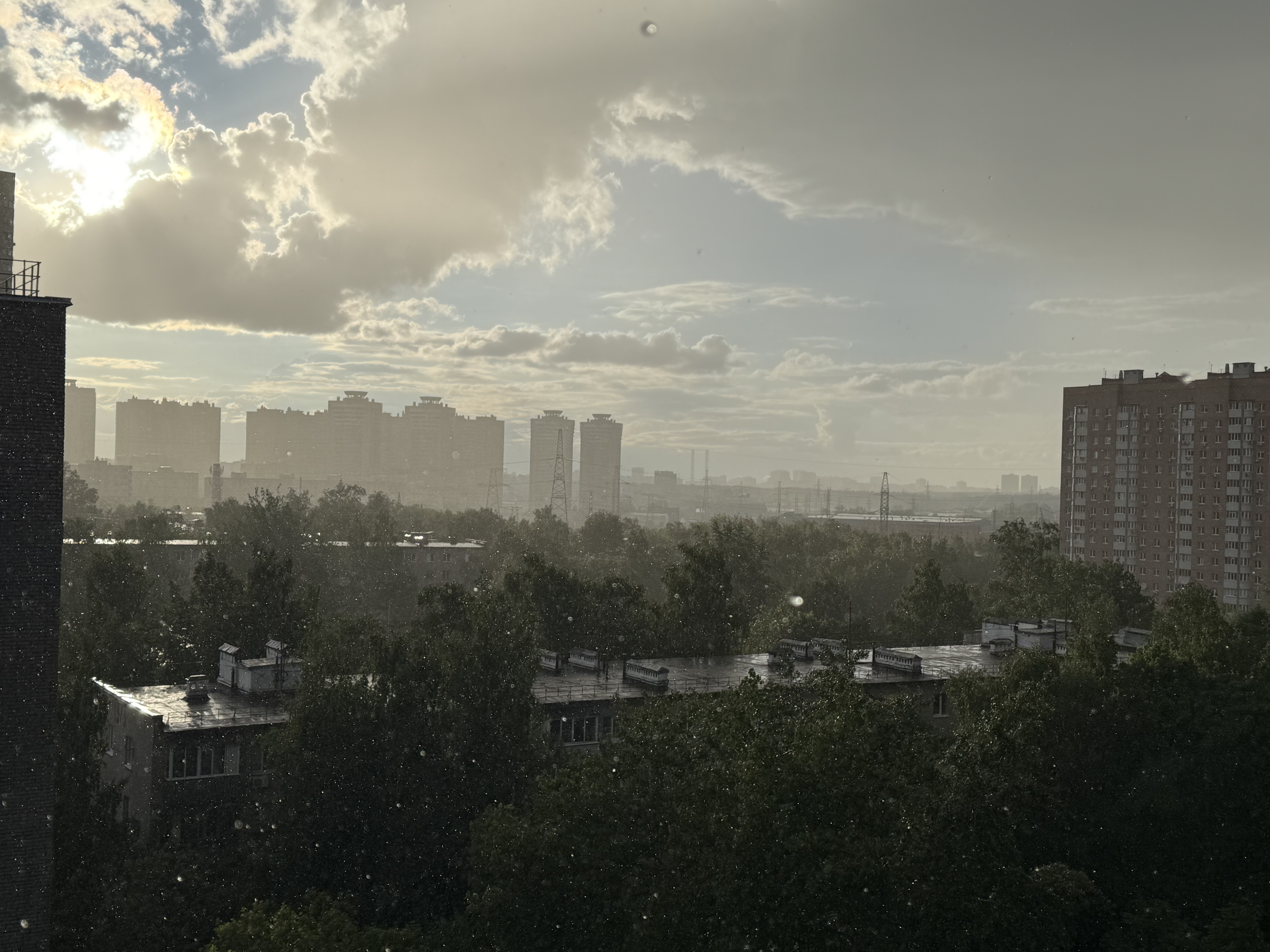 IMG_6291.jpeg