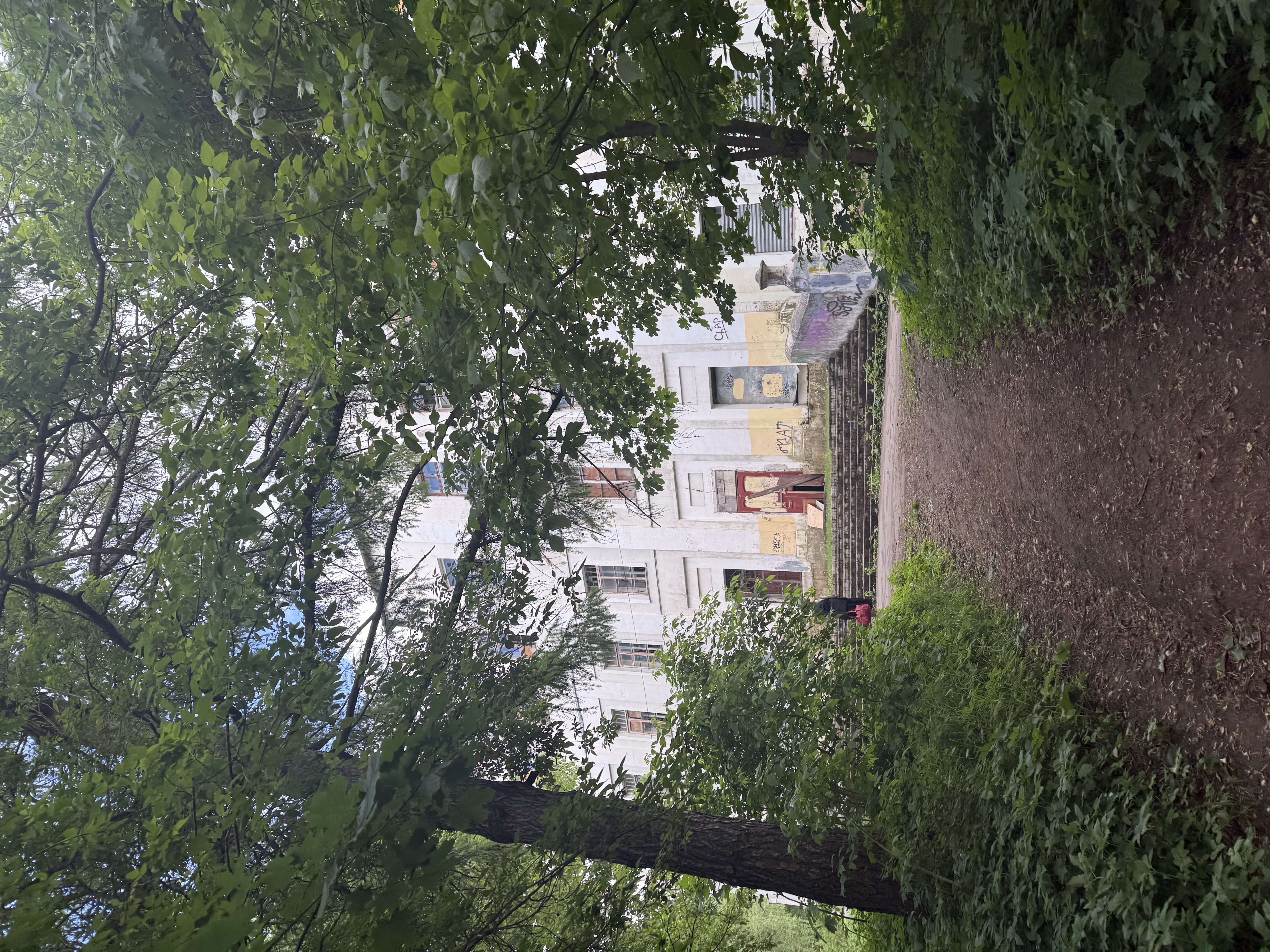 IMG_6158.jpeg