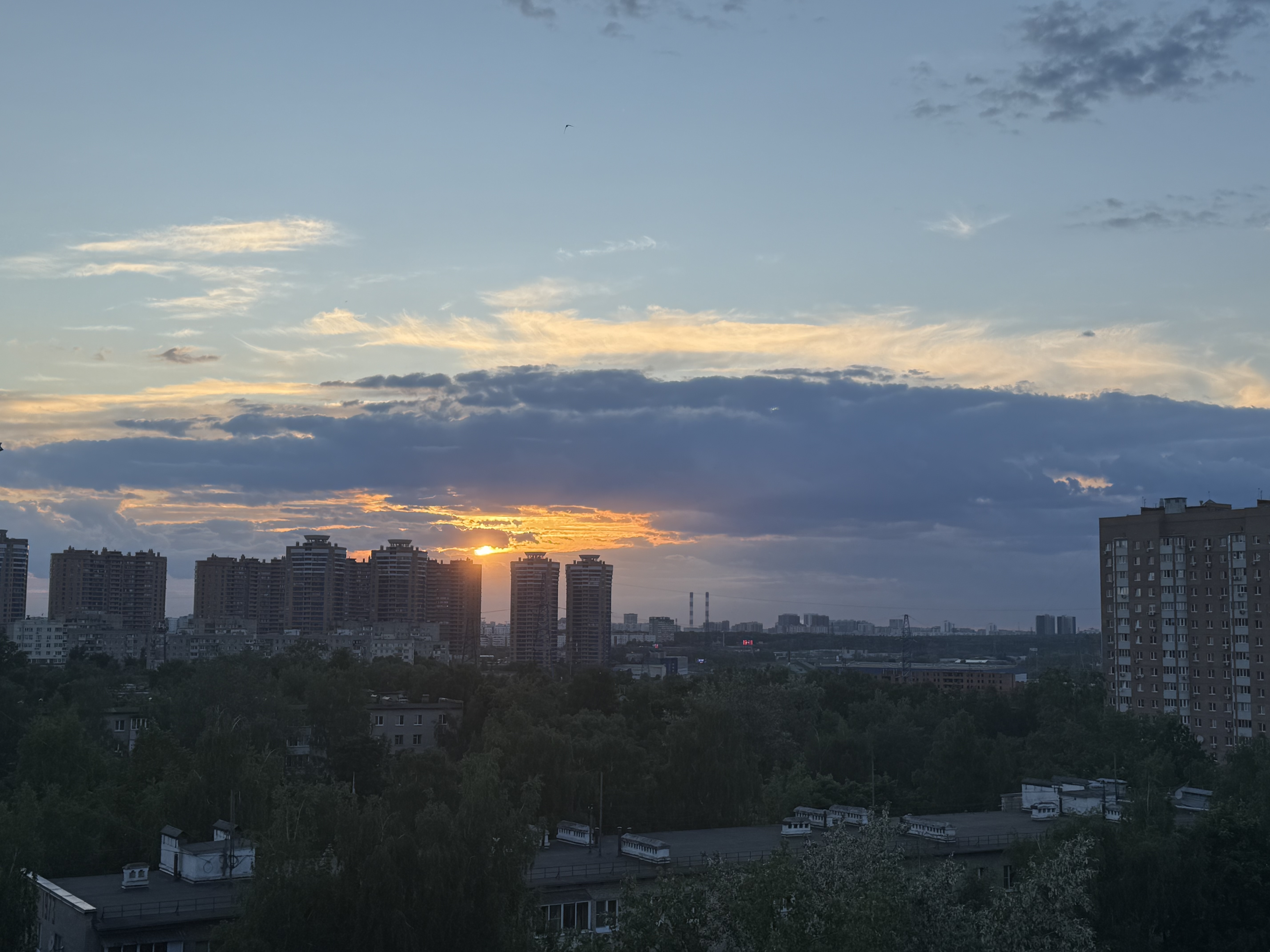 IMG_6360.jpeg