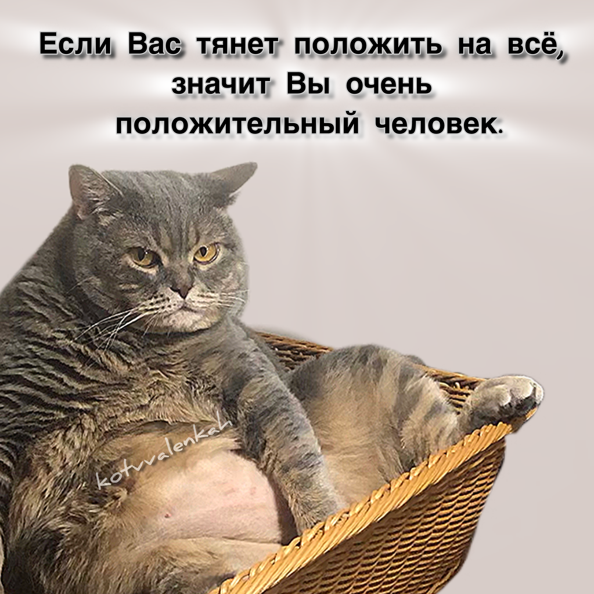 3e76c561dda14c6c8f3b839d6cc67d9b.png