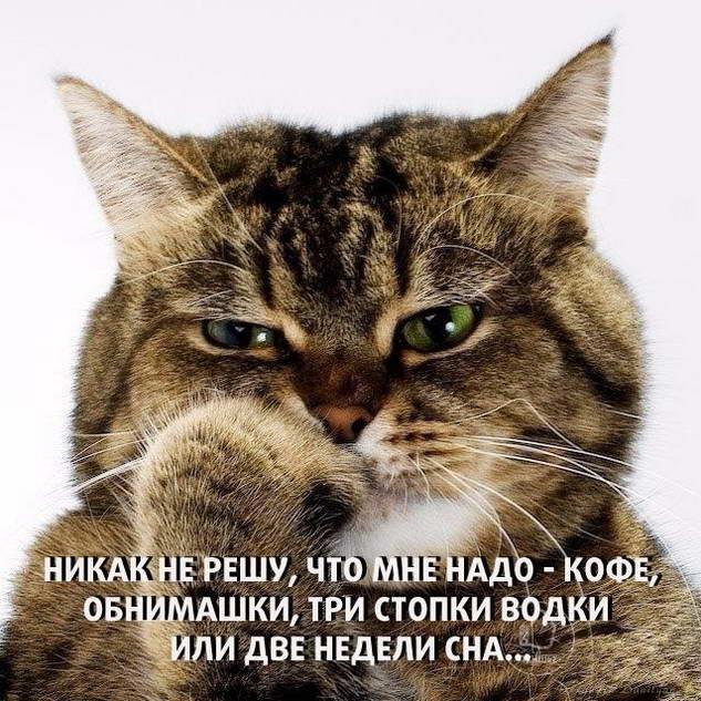 28802c7b0b184ea8b145f5cd5616527c.jpg