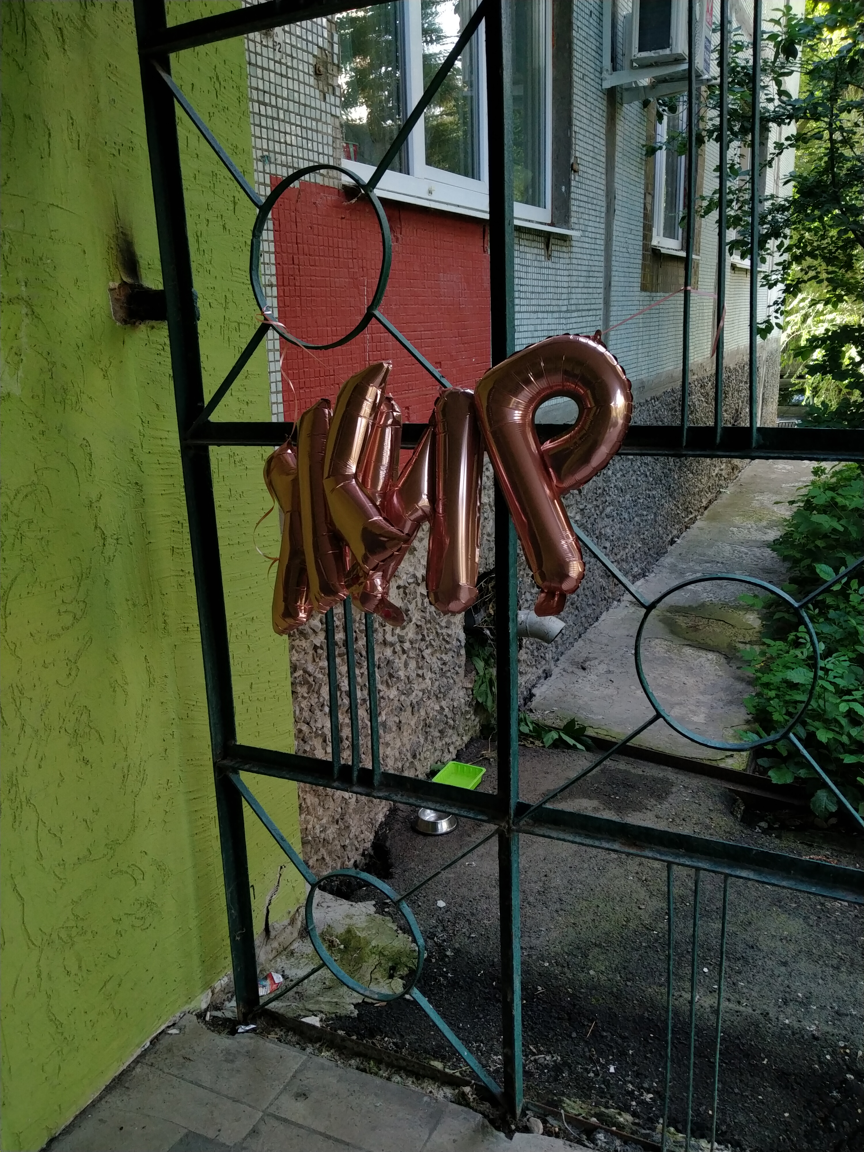 IMG20260624175929.jpg