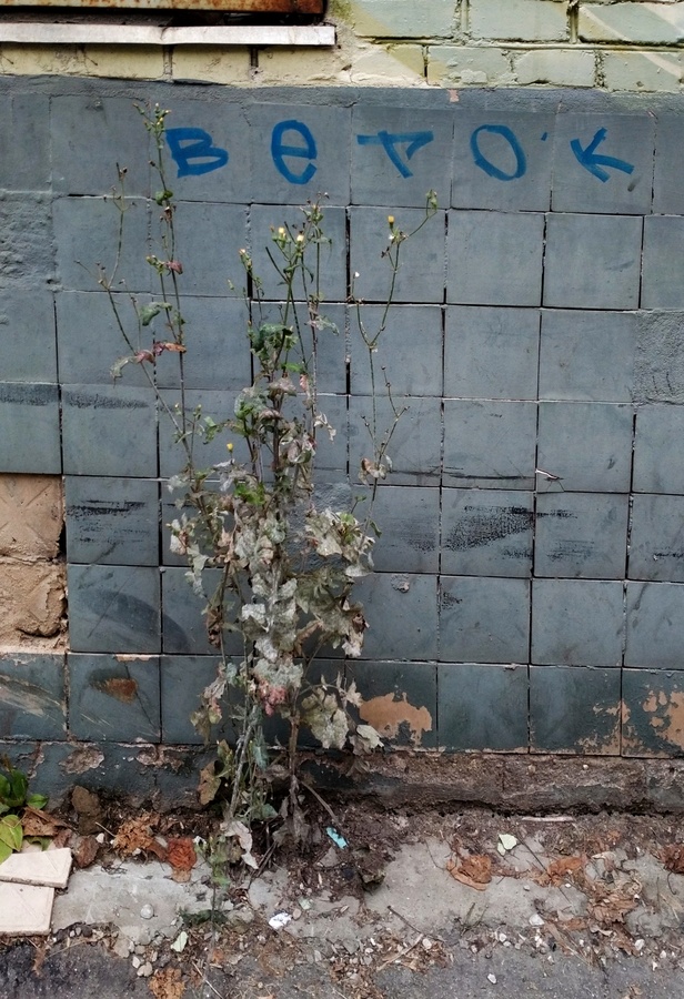 202608_900.jpg