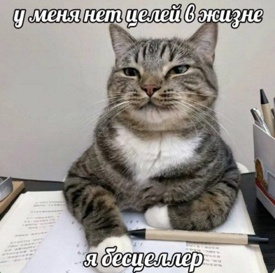 Снимок экрана 2026-10-06 075222.png