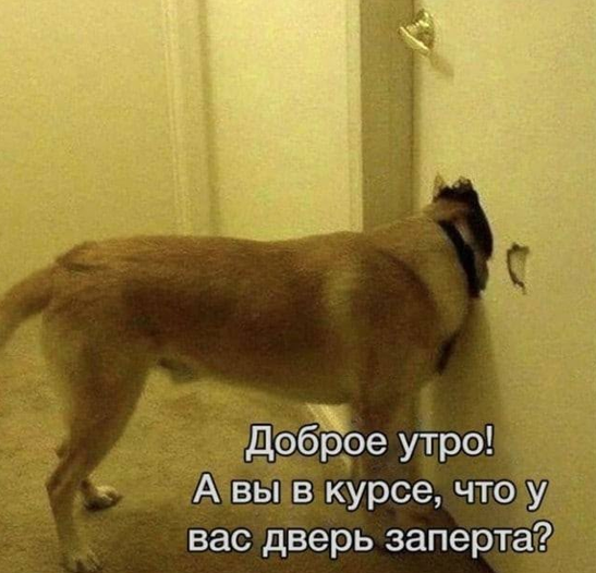 Снимок экрана 2026-10-20 135549.png
