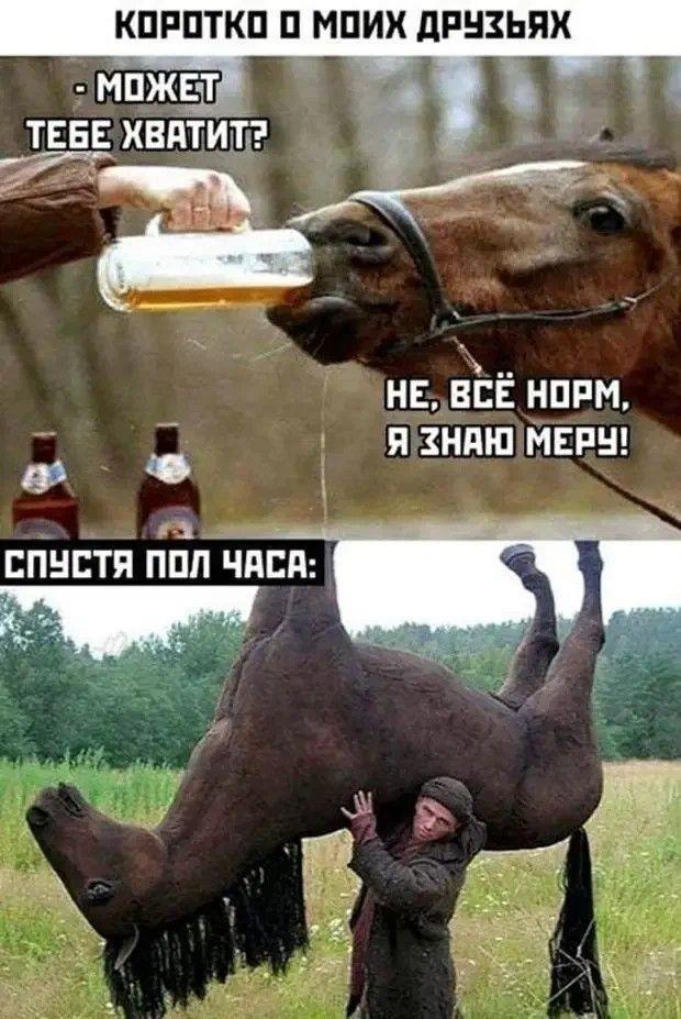 6c87d810b51649c78e72df9e06e5b9f9.jpg